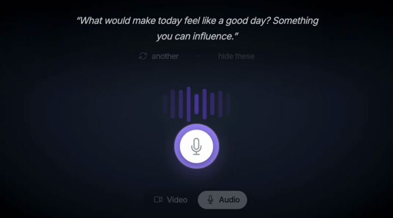 Entry capture screen showing a calm recording interface with gentle prompts and clear keyboard-accessible controls.